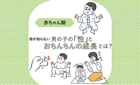 男の子皮むく時期 2歳|小児泌尿器科の常識 赤ちゃんのおちんちんの皮は「。